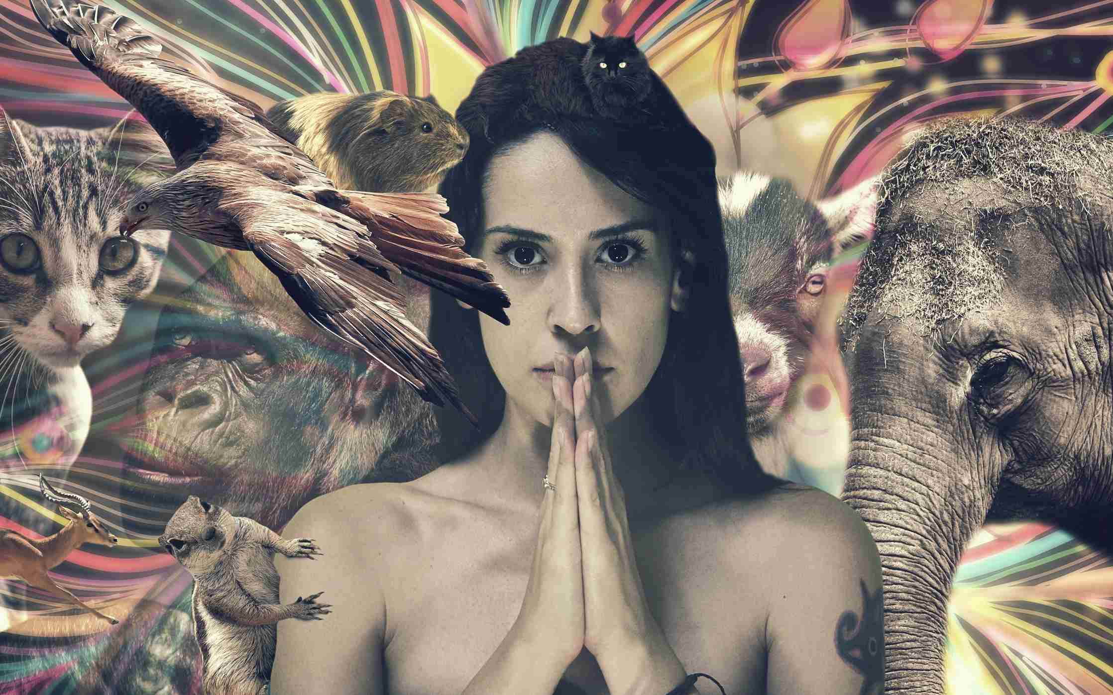 Rechard’s Kill the Dragno — Codex Guardian Image Tattooed woman surrounded by animals — elephant, cat, squirrel, guinea pig, eagle, and goat